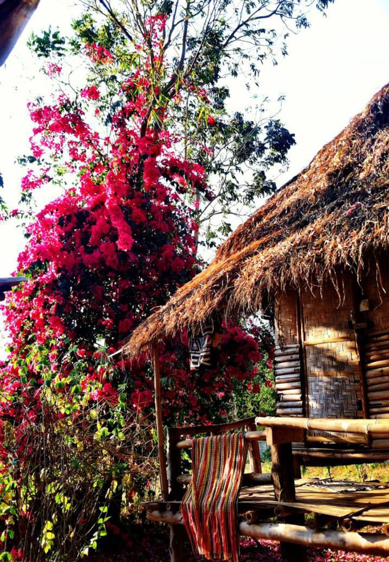Giant House Riverside Pai Luaran gambar