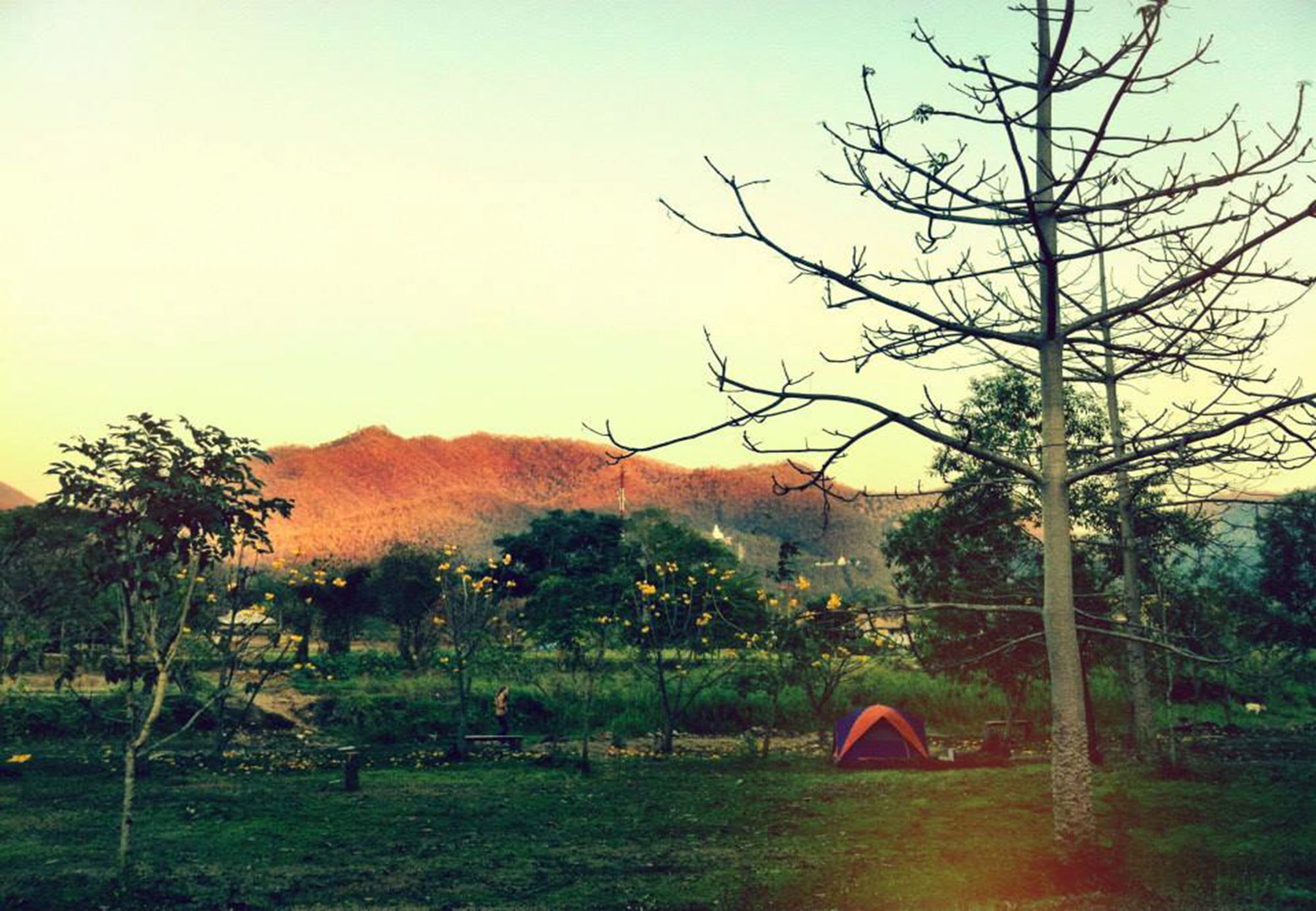 Giant House Riverside Pai Luaran gambar